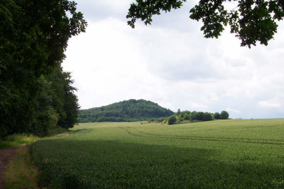 Blick auf den Karmelenberg (Sommer 2001)