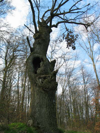 02 - Am Karmelenberg