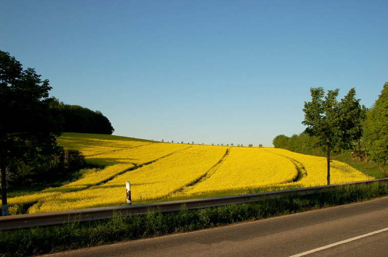 Blick auf die Kwetsche-Allee von der B 258 <Bild 03 von 13>