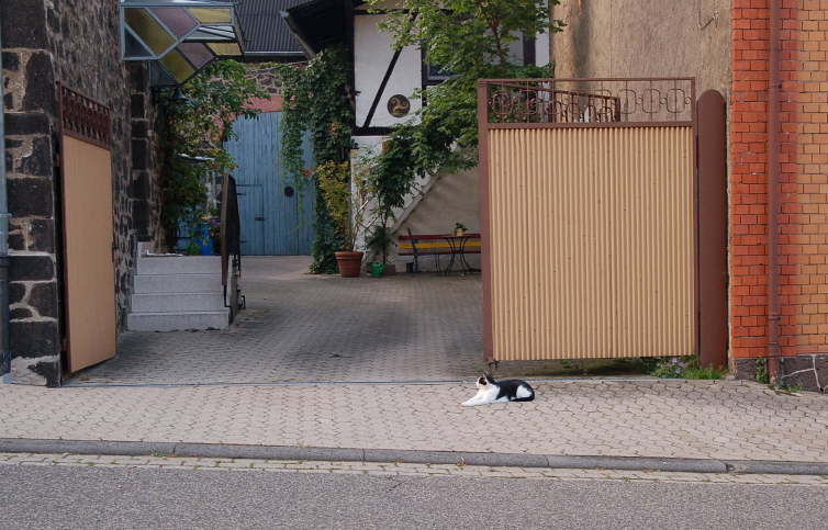 03/10 - Mayener Strae