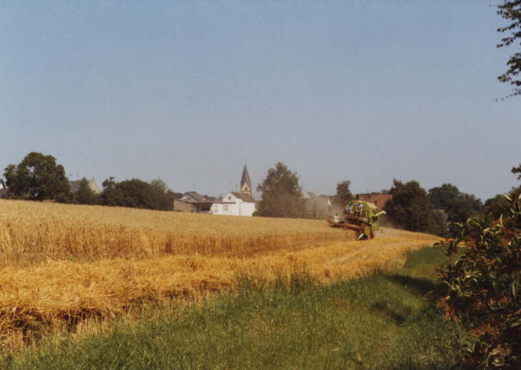 Feldarbeit <Bild 05 von 15>