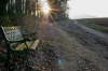Vor der Baumallee <Bild 06 von 17>