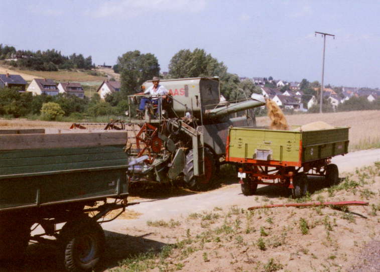 Feldarbeit <Bild 07 von 15>