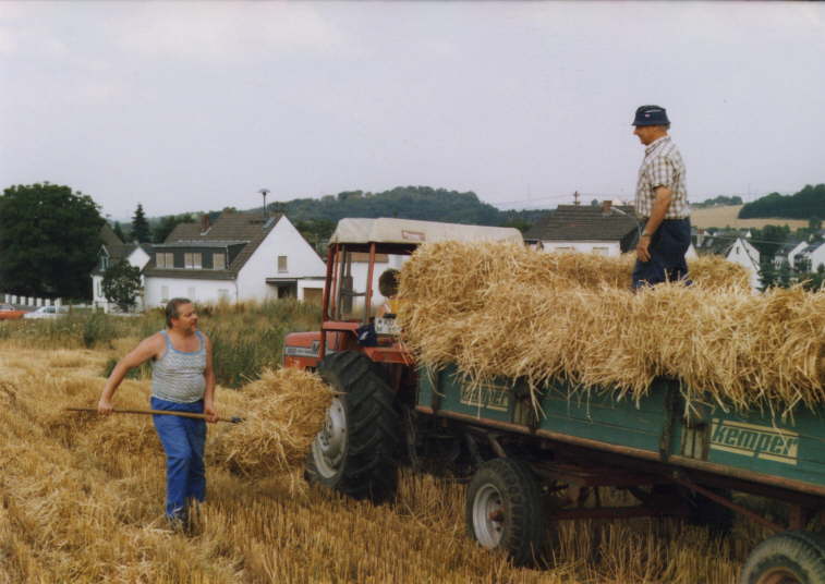 Feldarbeit <Bild 08 von 15>
