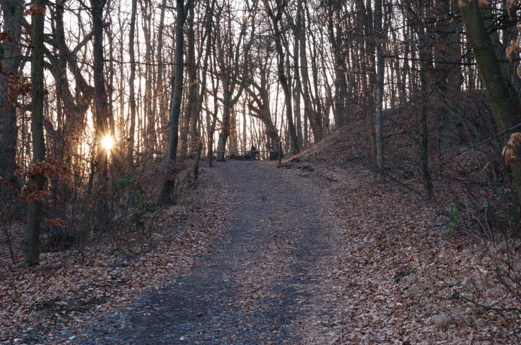 Weg zur Marienkapelle <Bild 07 von 17>