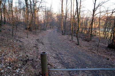 09 Weg zur Marienkapelle Bild 8 von