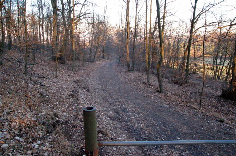 Weg zur Marienkapelle <Bild 08 von 17>