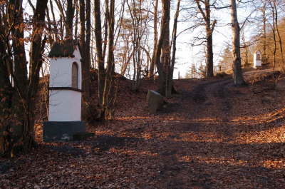 10 Weg zur Marienkapelle Bild 9 von