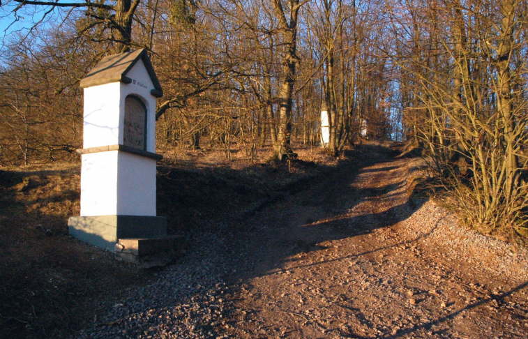 Weg zur Marienkapelle <Bild 10 von 17>