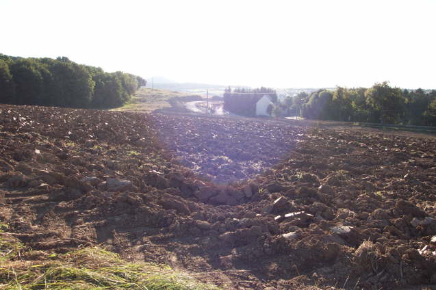 Aufm  Rausch mit Acker im Vordergrund  (Sommer 2002)