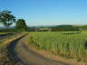 14 - Ochtendunger Hhe - Blick auf Bassenheim