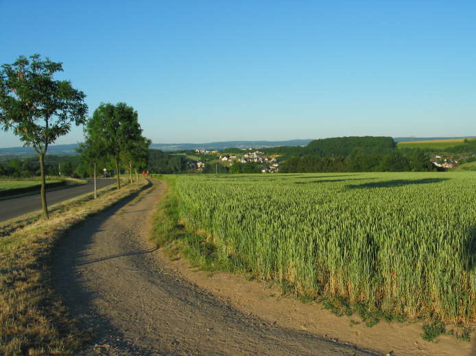 14 - Ochtendunger Hhe - Blick auf Bassenheim