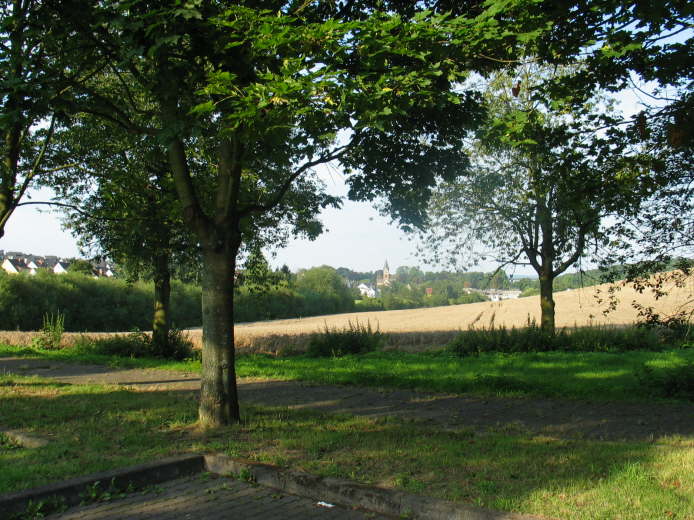 19 - Blick vom Parkplatz an der Grillhtte