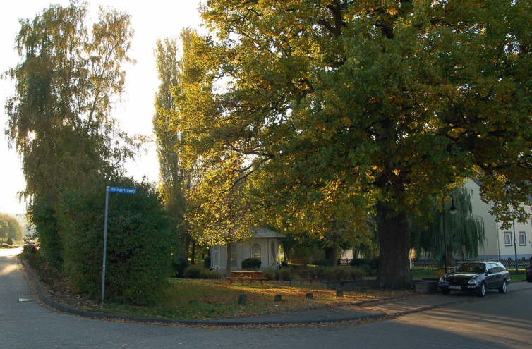 Bassenheimer Bur <Bild 10 von 16>