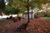 Bassenheimer Bur <Bild 13 von 16>